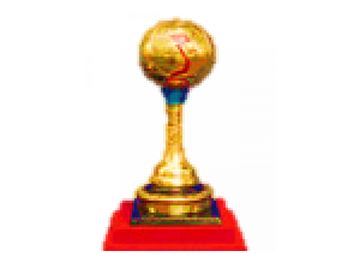 Vietnam Golden Ball